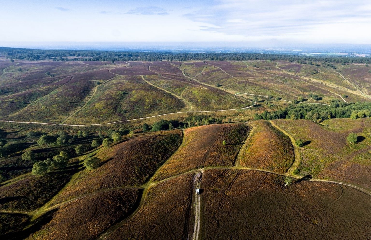 a-special-area-of-conservation-cannock-chase