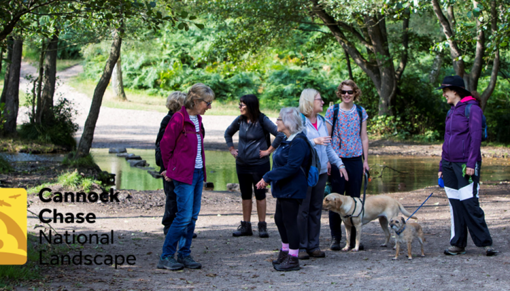 Header Walking ladies logo in diff position